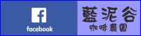 FB圖